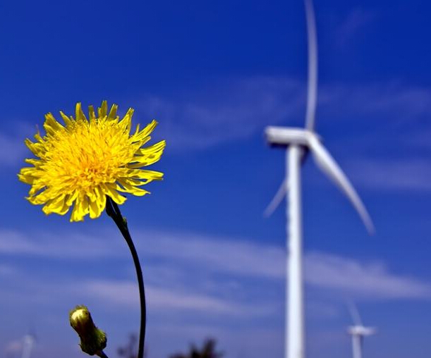 Global wind power capacity will exceed the 60 GW mark in 2020