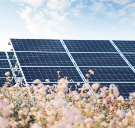 Prejudice in the photovoltaic industry, have you ever had it?