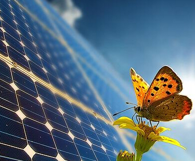 PV demand will pick up significantly next year