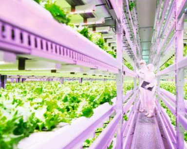 Reasons behind LED plant lighting or explosive growth